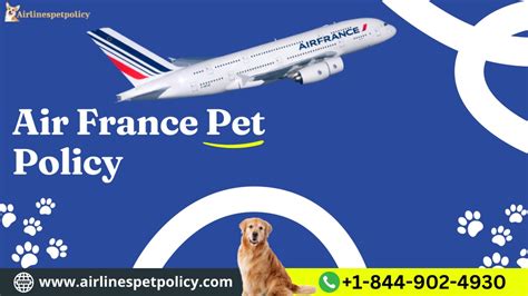 air france pets
